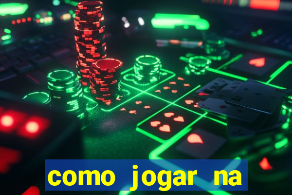 como jogar na lotinha do jogo do bicho